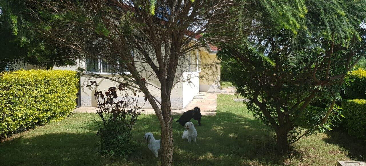 4BR All-Ensuite Super Bungalow with Solar & Staff Quarters - Athi River