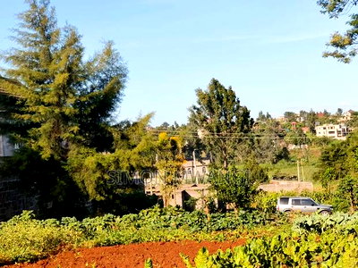 50*100 Residential on Sale at Ruiru Ukombozi at 5.2M - Image 2