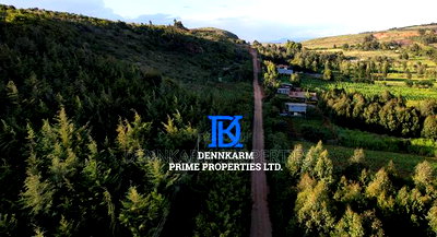 Prime Plots for Sale - Forest Groove Kikuyu, Thigio - Image 4