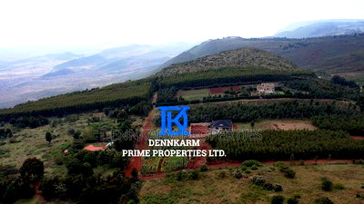Prime Plots for Sale - Forest Groove Kikuyu, Thigio - Image 17