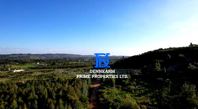 Prime Plots for Sale - Forest Groove Kikuyu, Thigio - Image 2