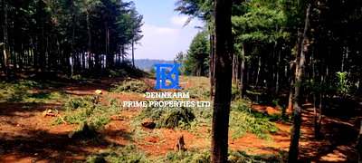 Prime Plots for Sale - Forest Groove Kikuyu, Thigio - Image 14