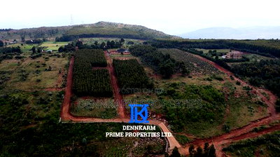 Prime Plots for Sale - Forest Groove Kikuyu, Thigio - Image 15