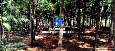 Prime Plots for Sale - Forest Groove Kikuyu, Thigio - Image 8