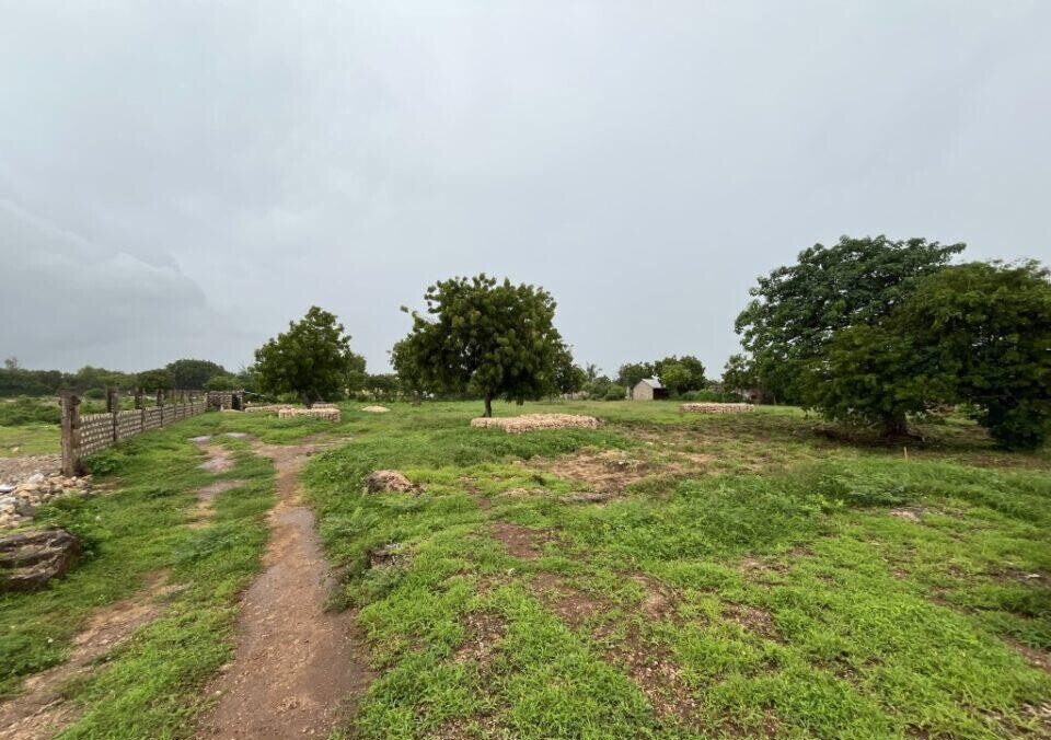 Pet Friendly 1/2 Acre Plot at KSh 7M