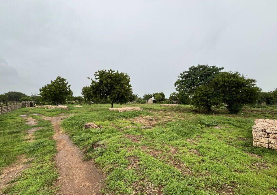 Pet Friendly 1/2 Acre Plot at KSh 7M