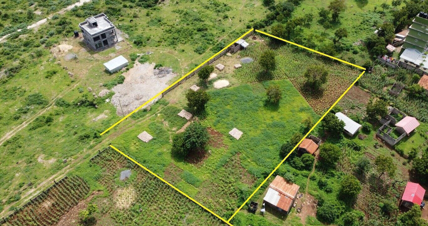 Pet Friendly 1/2 Acre Plot at KSh 7M
