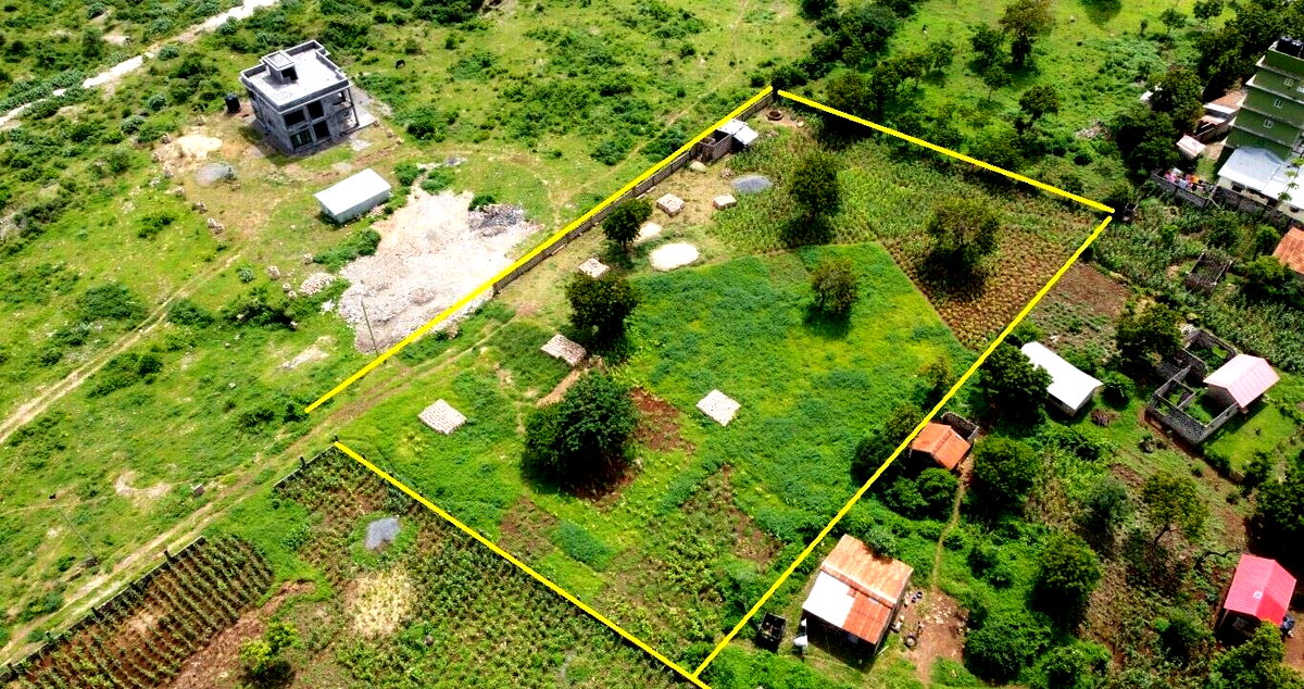 Pet Friendly 1/2 Acre Plot at KSh 7M