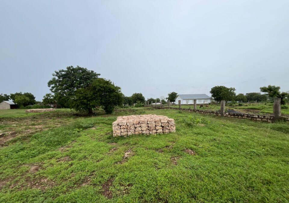 Pet Friendly 1/2 Acre Plot at KSh 7M