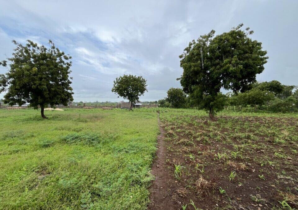 Pet Friendly 1/2 Acre Plot at KSh 7M