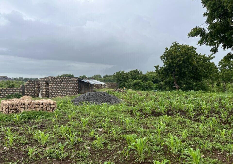 Pet Friendly 1/2 Acre Plot at KSh 7M