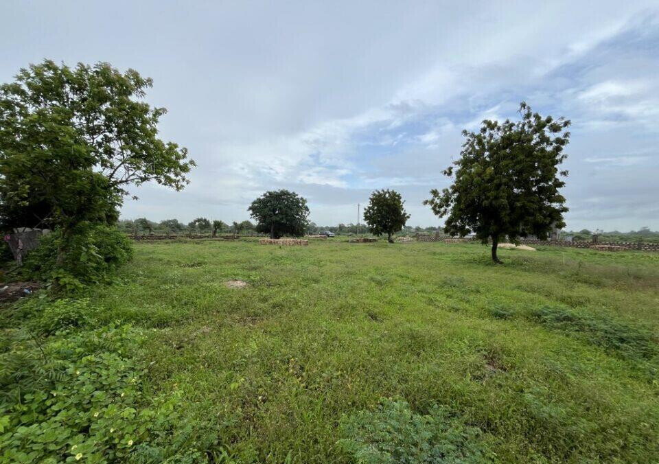 Pet Friendly 1/2 Acre Plot at KSh 7M