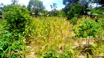 50/50 Feet Plot on Sale - Image 3