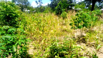 50/50 Feet Plot on Sale - Image 1