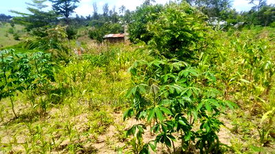 50/50 Feet Plot on Sale - Image 5