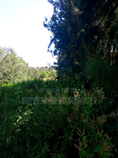 Mushrooms Garden, Kiambu Road,1/2 Acre - Image 3
