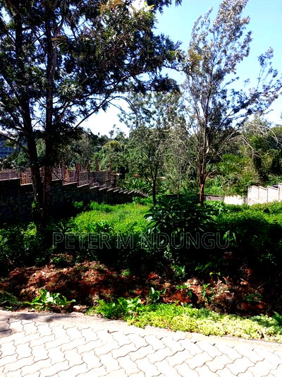 Mushrooms Garden, Kiambu Road,1/2 Acre - Image 6