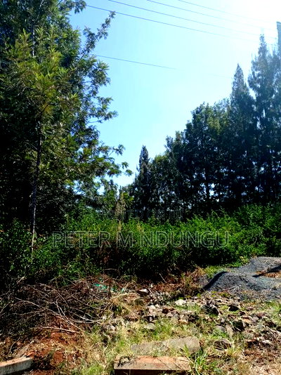 Mushrooms Garden, Kiambu Road,1/2 Acre - Image 7