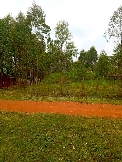 50*100 Plot in Harambee Kakamega - Image 6