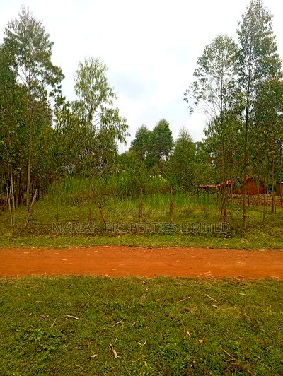 50*100 Plot in Harambee Kakamega - Image 3