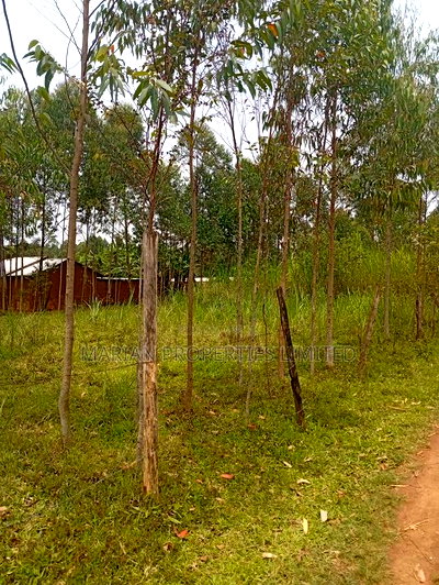 50*100 Plot in Harambee Kakamega - Image 5