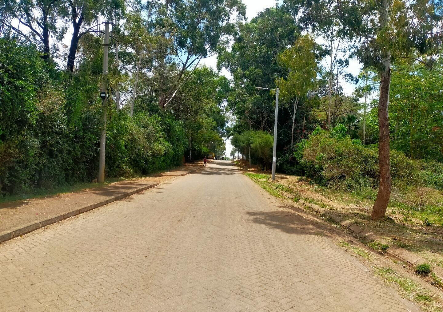 1-Acre Plot in Karen at KSh 70M