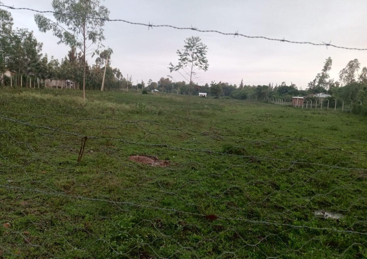 KSh 12M Awasi Land Deal