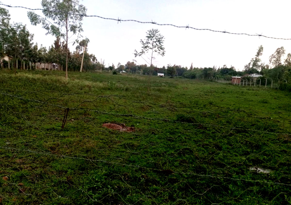 KSh 12M Awasi Land Deal