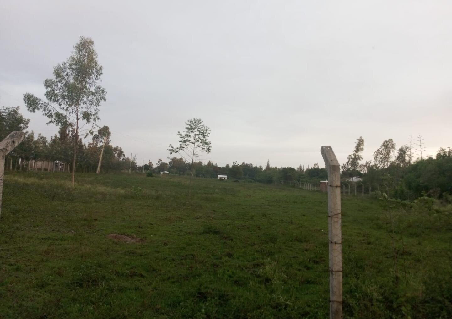 KSh 12M Awasi Land Deal