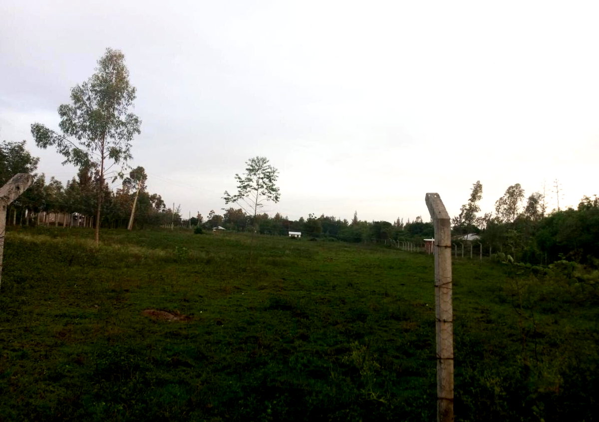 KSh 12M Awasi Land Deal