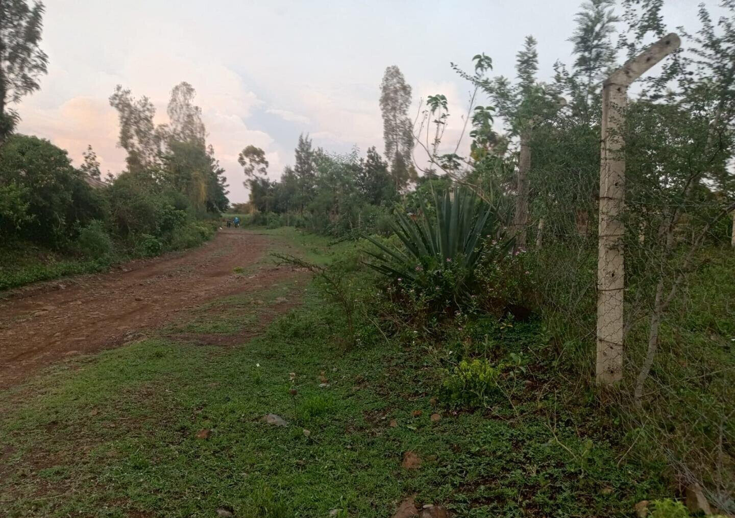 KSh 12M Awasi Land Deal