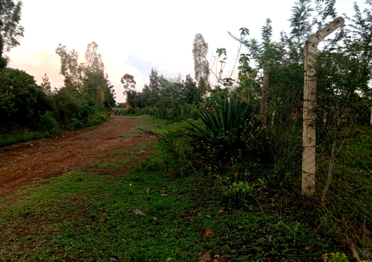 KSh 12M Awasi Land Deal