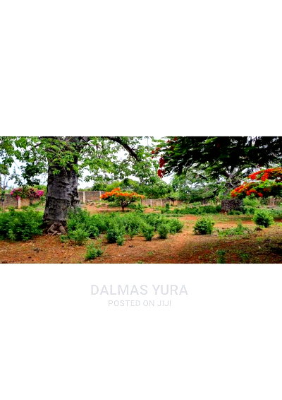 3 Acres of Prime Land, Casuarina - Malindi - Image 1