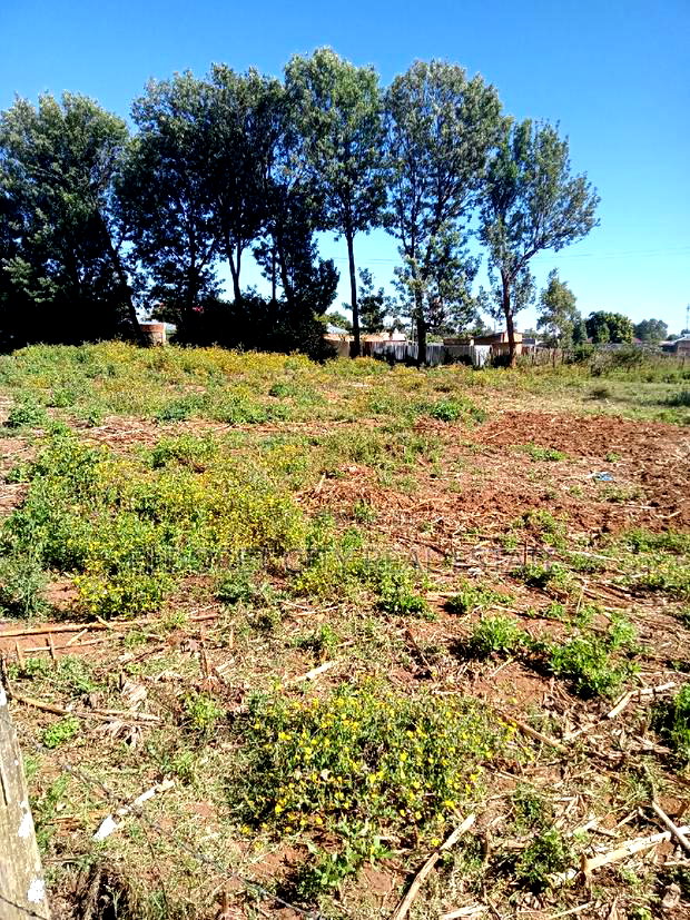 1/4 Kimumu. (Betterfarm )Ideal for Rental