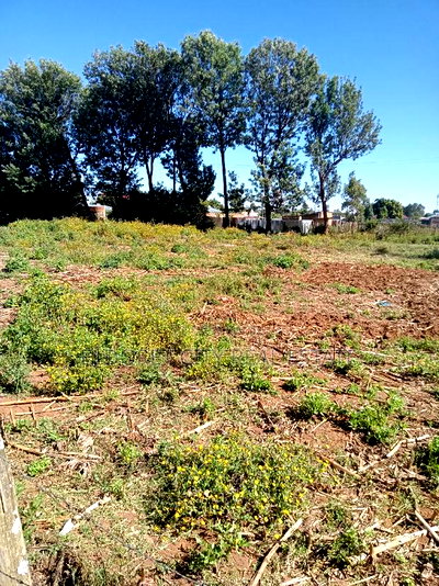 1/4 Kimumu. (Betterfarm )Ideal for Rental - Image 3