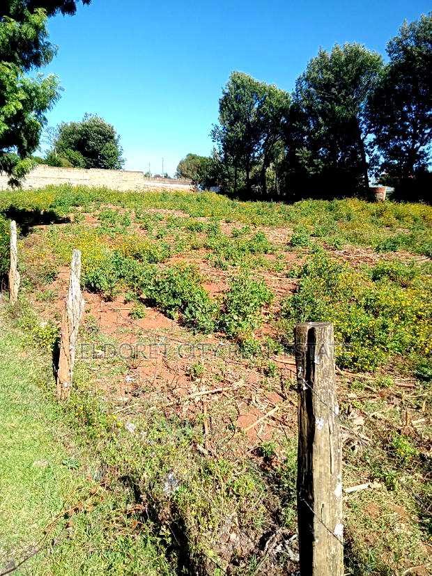 1/4 Kimumu. (Betterfarm )Ideal for Rental