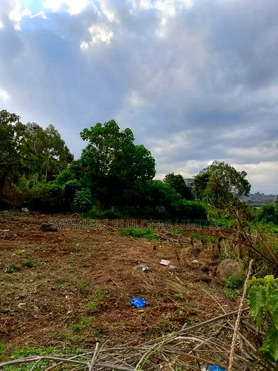 43*75 Plot for Sale at Lumumba Drive - Image 9