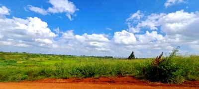 150 Acres for Sale in Kiambu Tatu City - Image 4