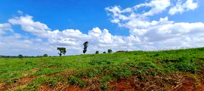 150 Acres for Sale in Kiambu Tatu City - Image 2