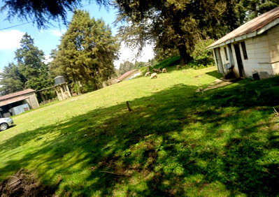KSh 48M Plot in Mara