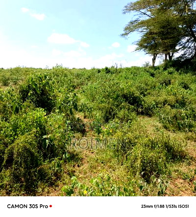 Ekali 120 Katika Eneo La Kimana - Image 9