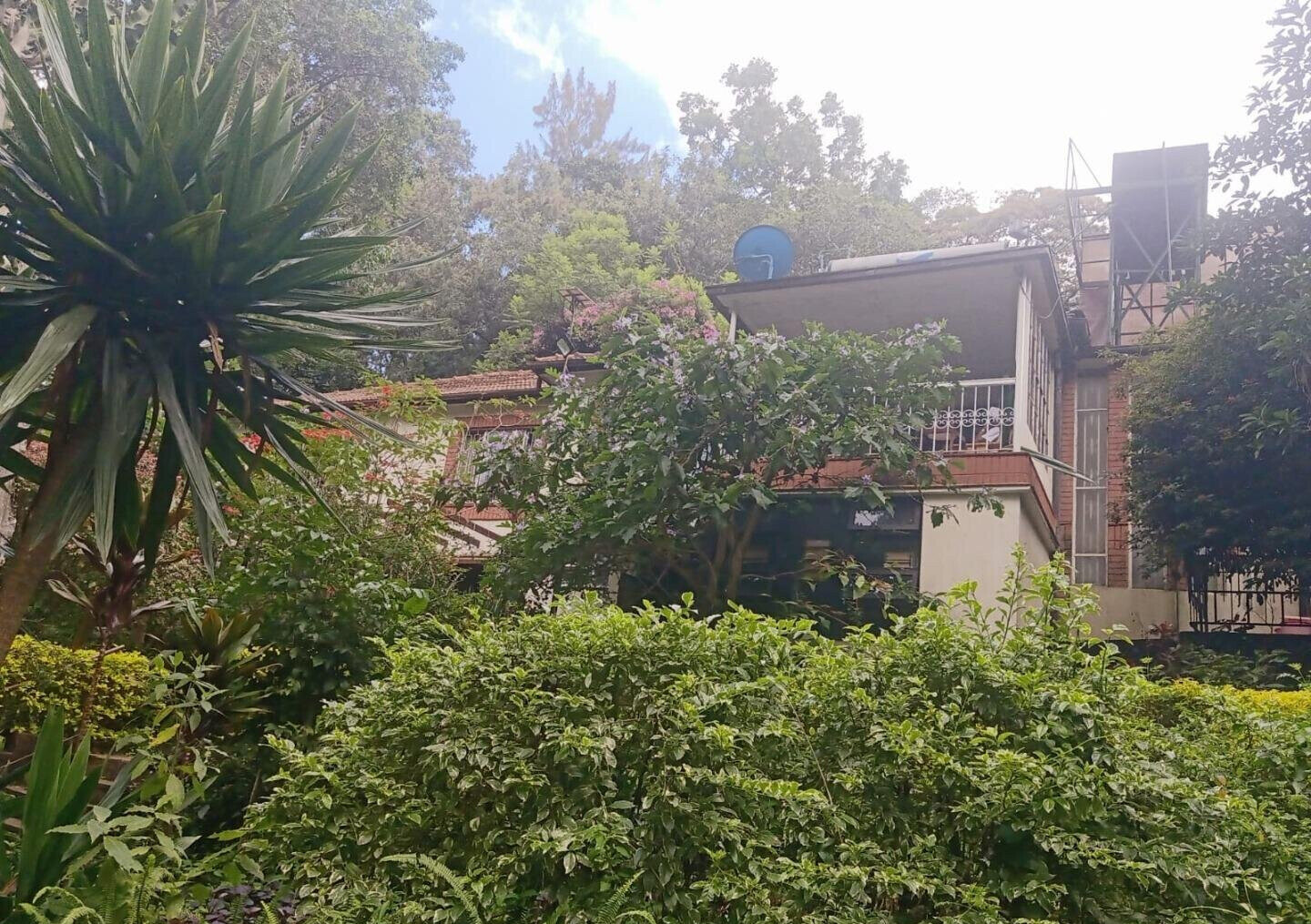1-Acre Plot with Garden in Muthaiga