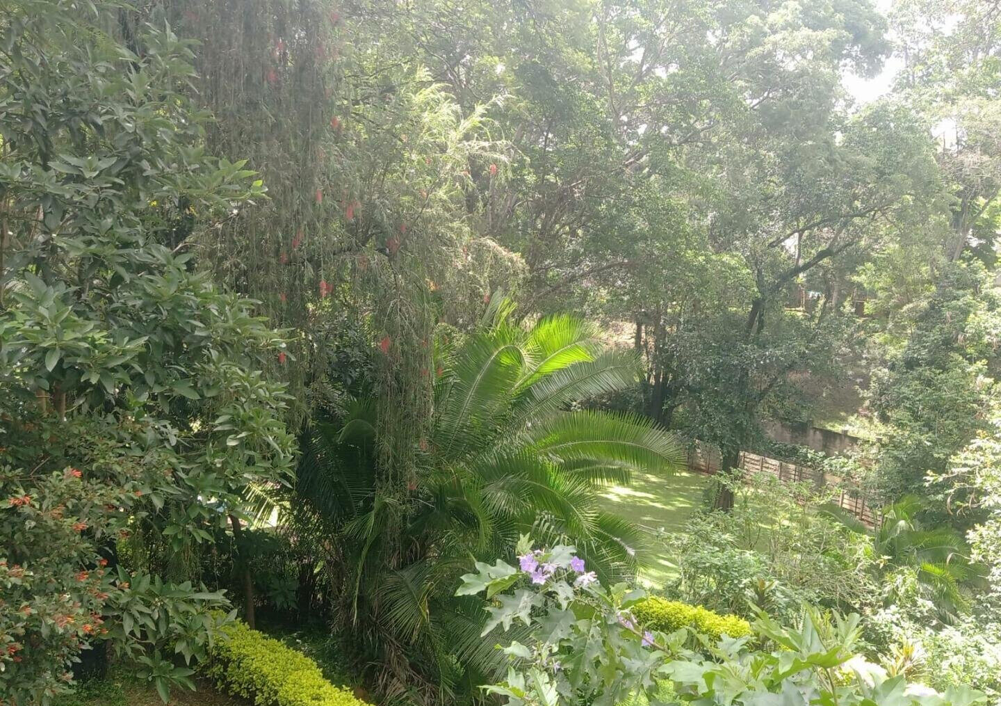 1-Acre Plot with Garden in Muthaiga