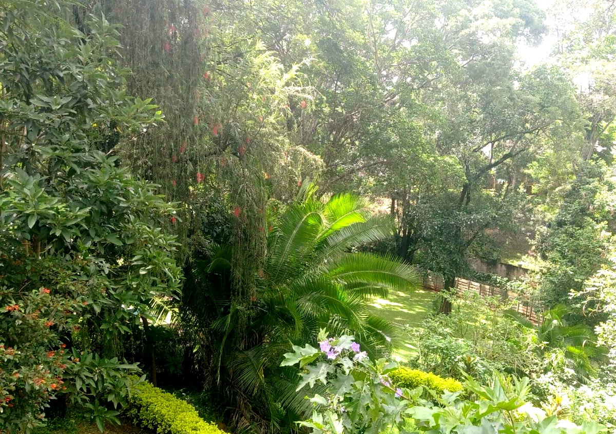 1-Acre Plot with Garden in Muthaiga