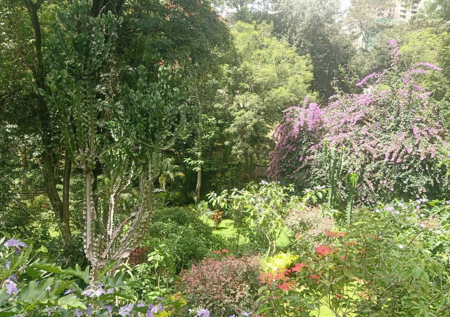 1-Acre Plot with Garden in Muthaiga