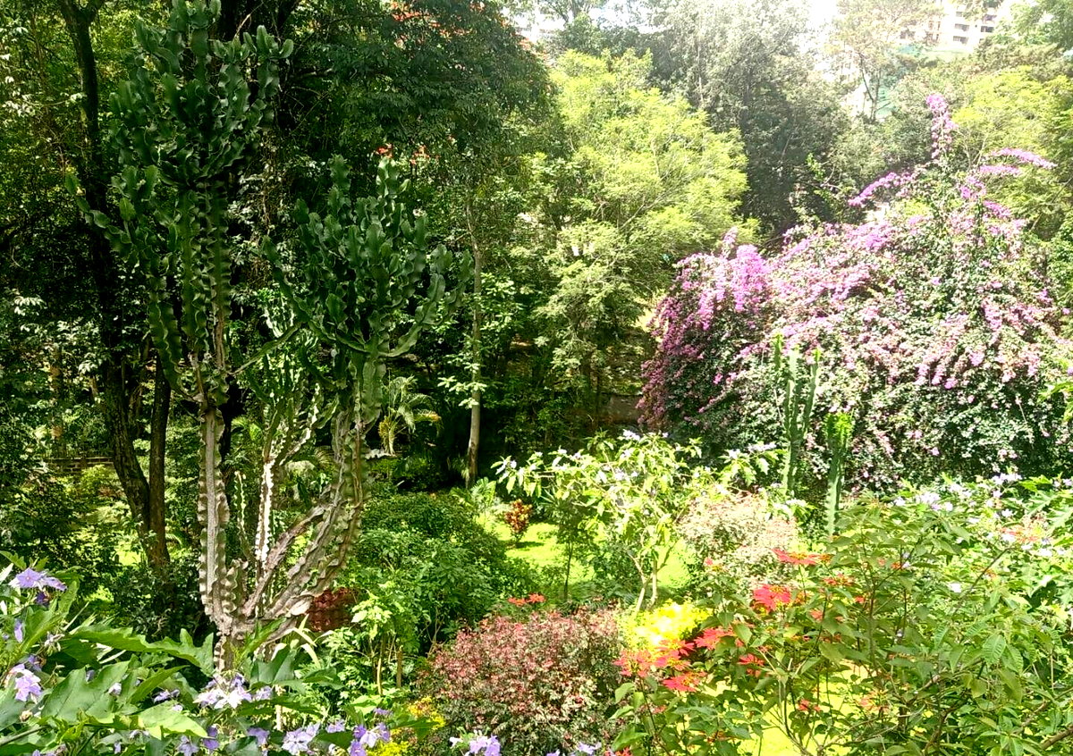 1-Acre Plot with Garden in Muthaiga