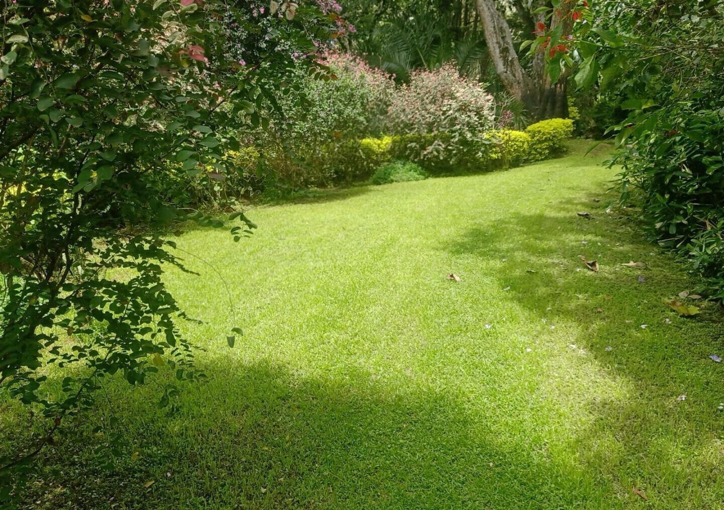 1-Acre Plot with Garden in Muthaiga