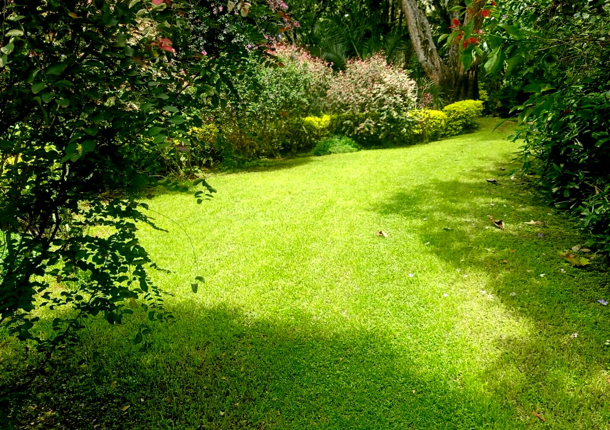 1-Acre Plot with Garden in Muthaiga