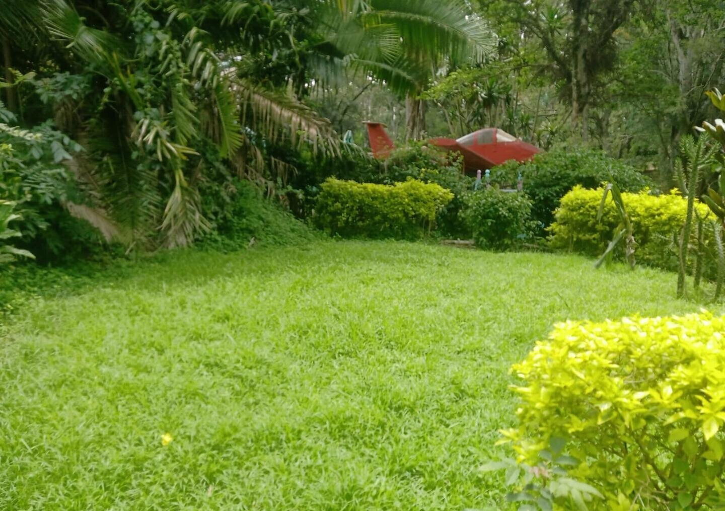 1-Acre Plot with Garden in Muthaiga