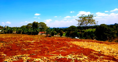 1/2 Acre Garden Plot with Parking - Tigoni